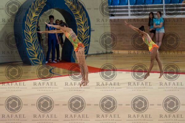 WP 5 - Imagen 12