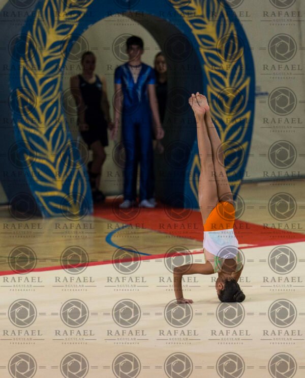 WP 5 - Imagen 13
