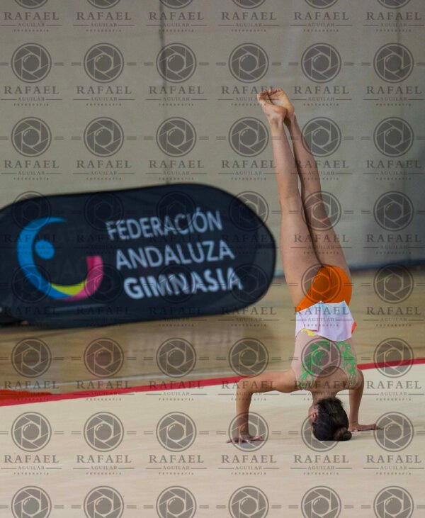 WP 5 - Imagen 14
