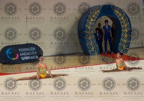 WP 5 - Imagen 15