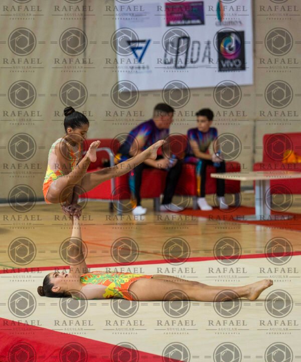 WP 5 - Imagen 16