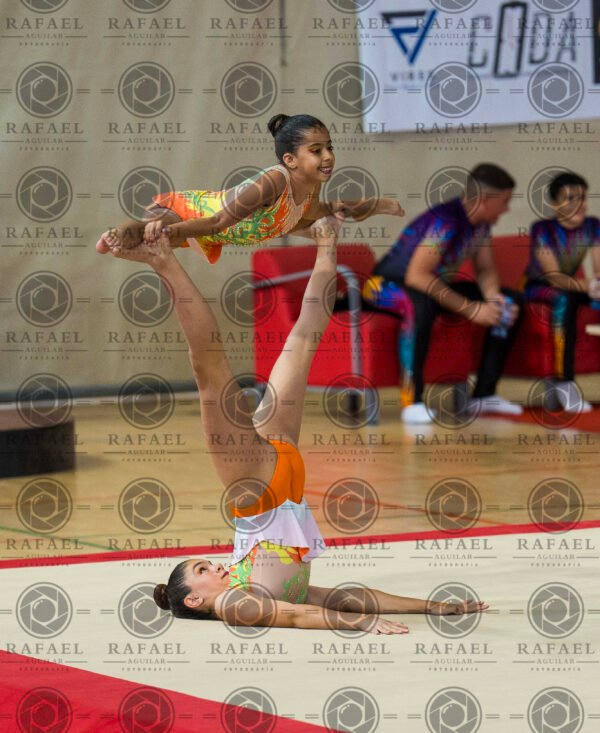 WP 5 - Imagen 17