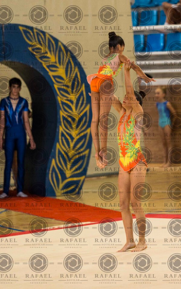 WP 5 - Imagen 18