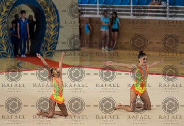 WP 5 - Imagen 19