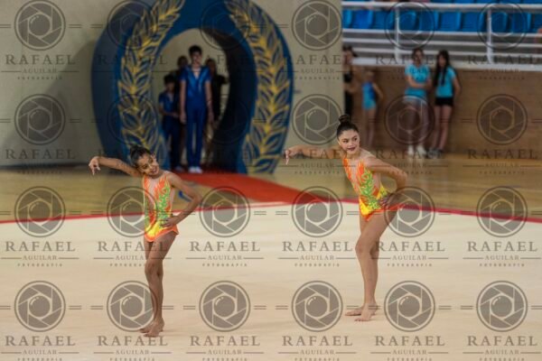 WP 5 - Imagen 21