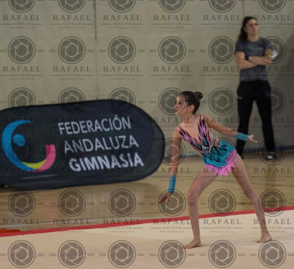 WG 1 - Imagen 3