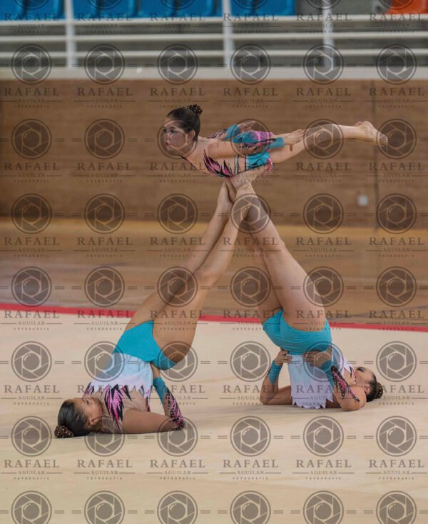 WG 1 - Imagen 8