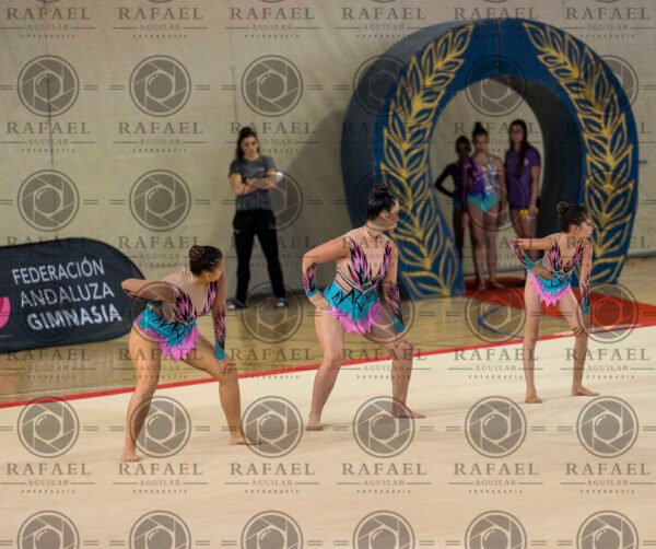 WG 1 - Imagen 13