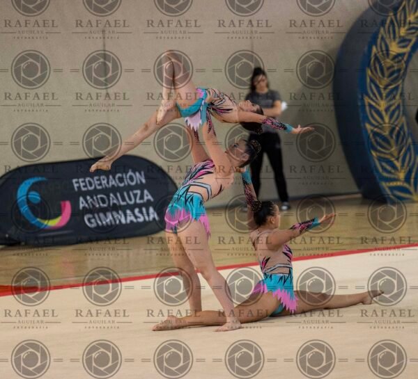 WG 1 - Imagen 14