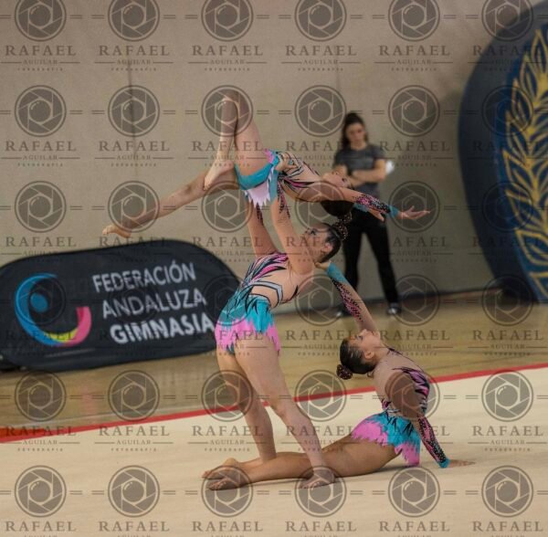 WG 1 - Imagen 15