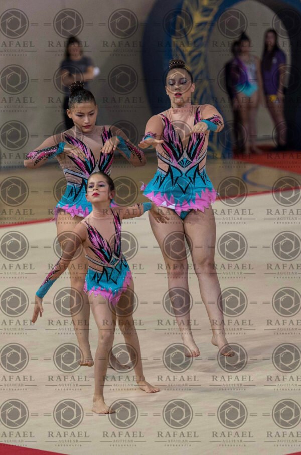 WG 1 - Imagen 16