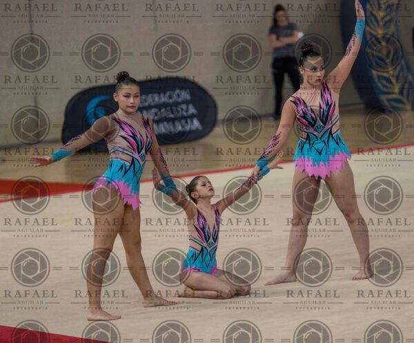 WG 1 - Imagen 17