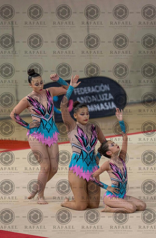 WG 1 - Imagen 18