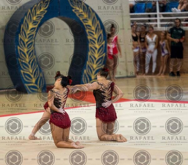 WG 4 - Imagen 2