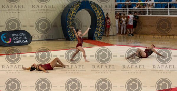 WG 4 - Imagen 3
