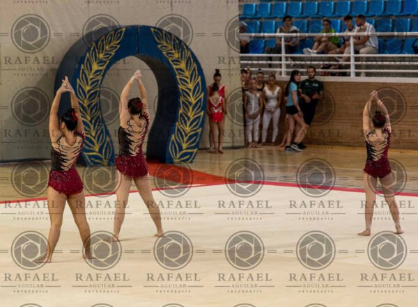 WG 4 - Imagen 5
