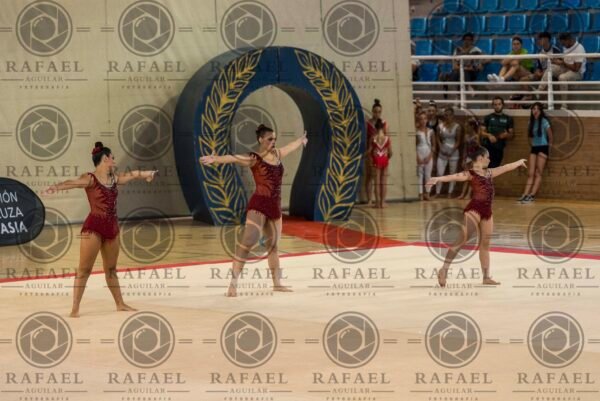 WG 4 - Imagen 6