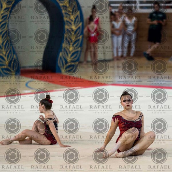 WG 4 - Imagen 8