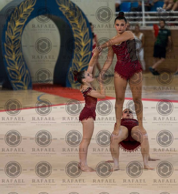 WG 4 - Imagen 9