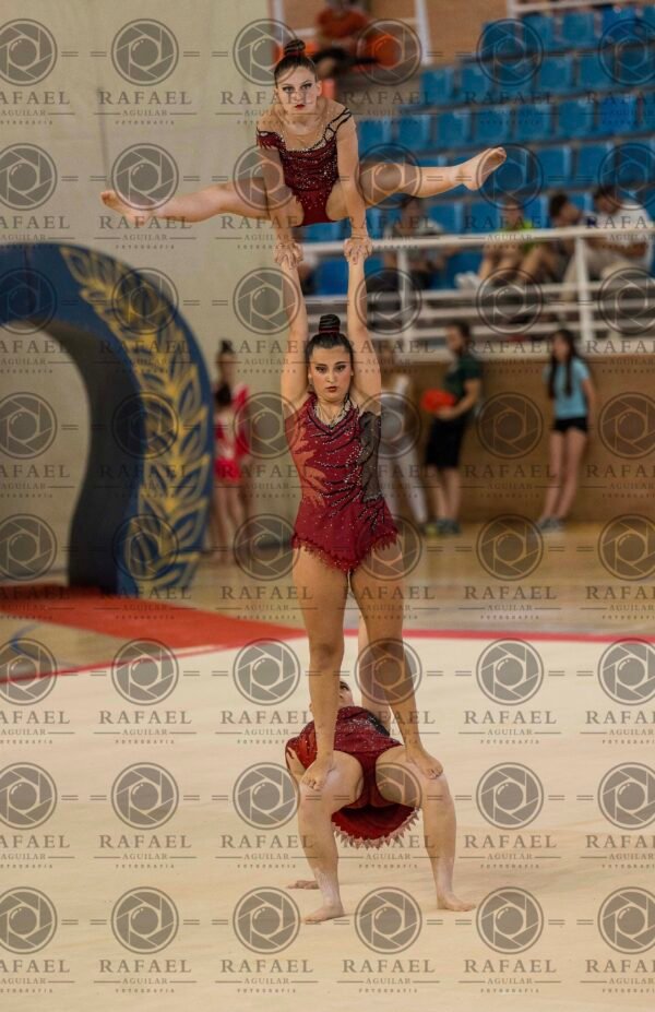 WG 4 - Imagen 10