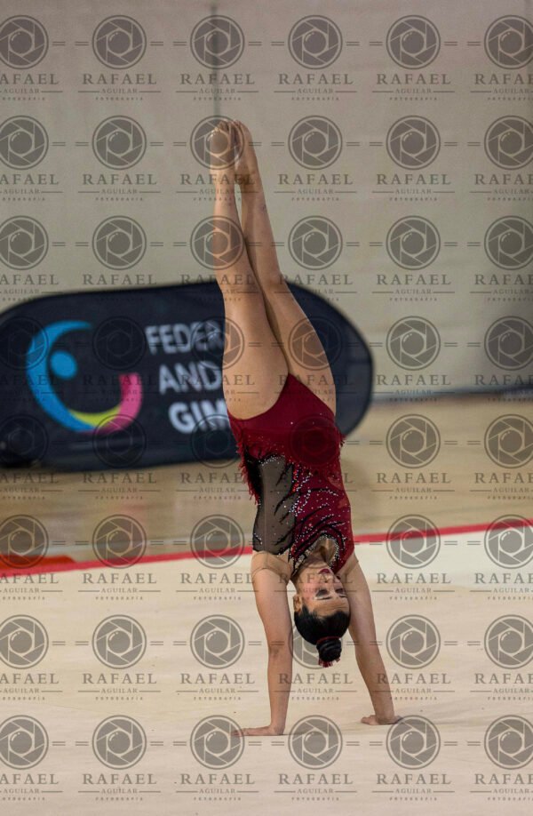 WG 4 - Imagen 12