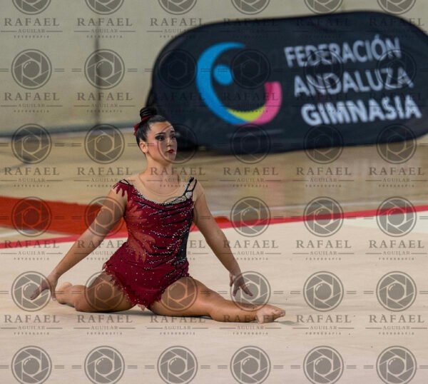 WG 4 - Imagen 15