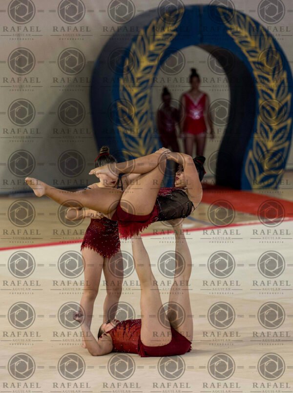 WG 4 - Imagen 16