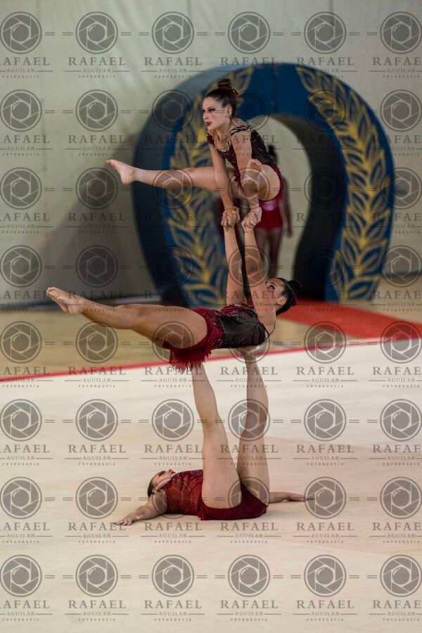 WG 4 - Imagen 17
