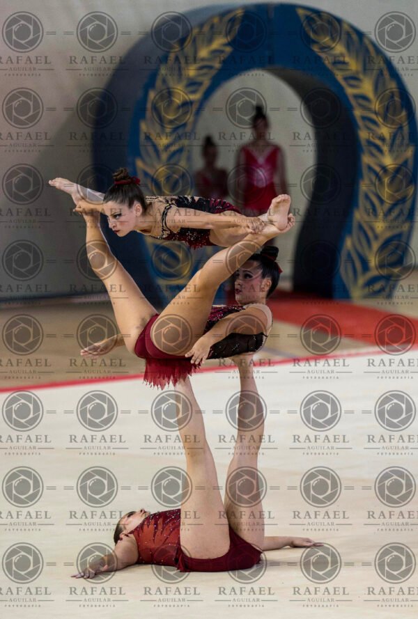 WG 4 - Imagen 18