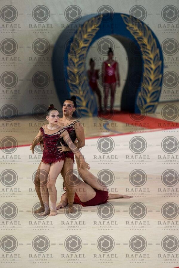 WG 4 - Imagen 19