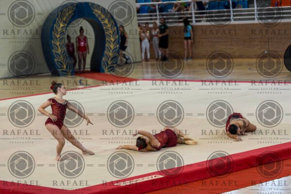 WG 4 - Imagen 20