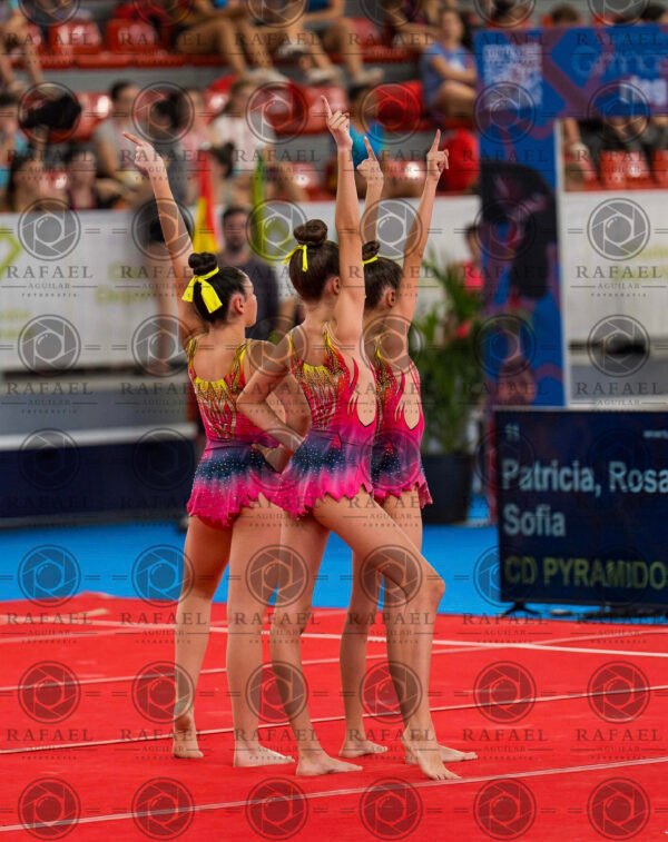 SOFIA,PATRICIA Y ROSA VIERNES - Imagen 3
