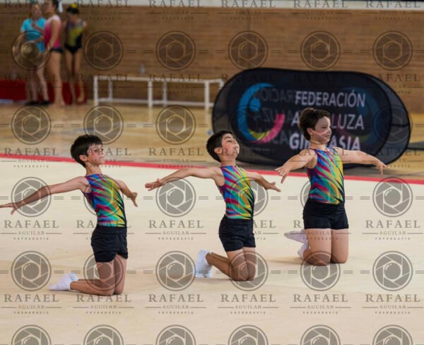 MG 1 - Imagen 4