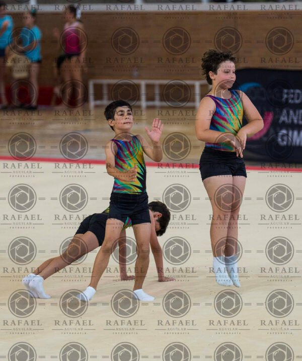 MG 1 - Imagen 5