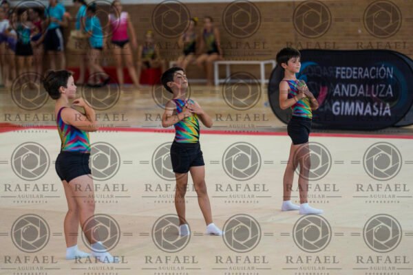 MG 1 - Imagen 8