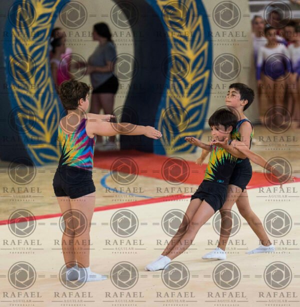 MG 1 - Imagen 15