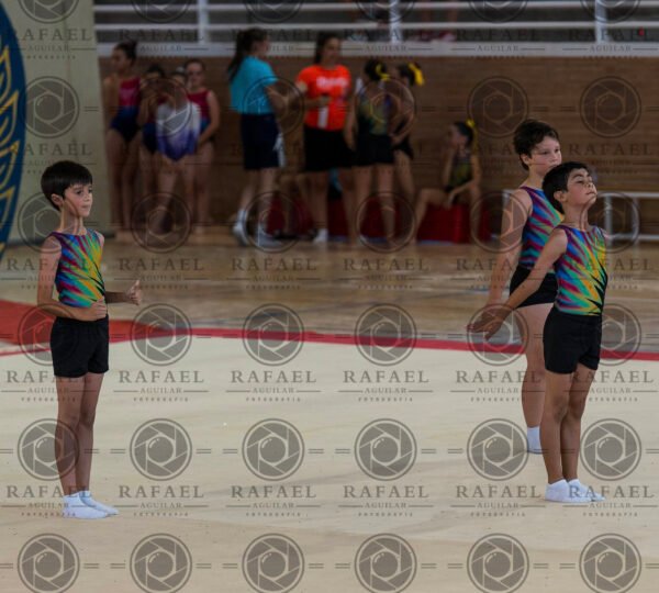 MG 1 - Imagen 26