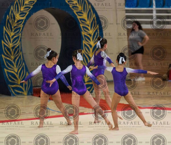 G 2 - Imagen 10