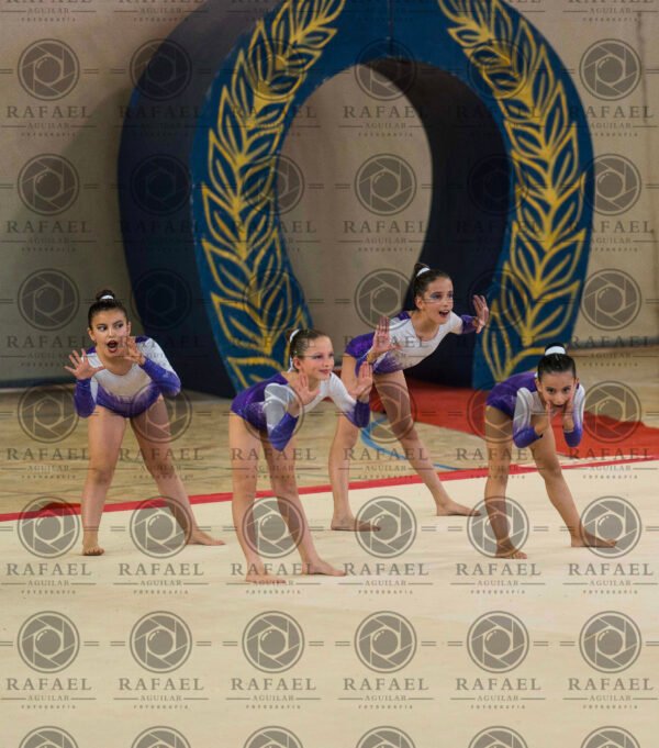 G 2 - Imagen 13