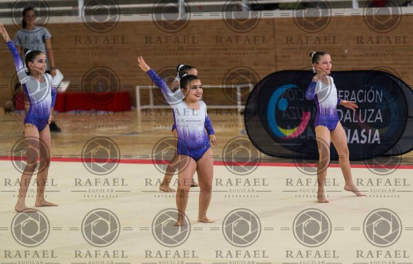 G 2 - Imagen 22