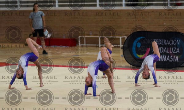 G 2 - Imagen 23