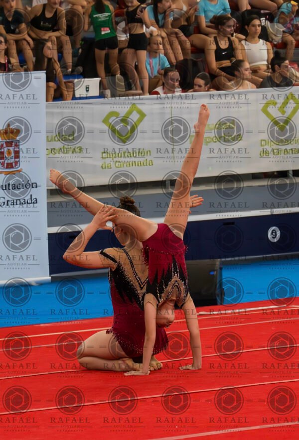 NORA HERRERA Y SOFIA BARRAGAN VIERNES - Imagen 19