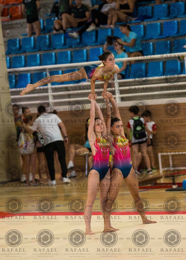 WG 9 - Imagen 8
