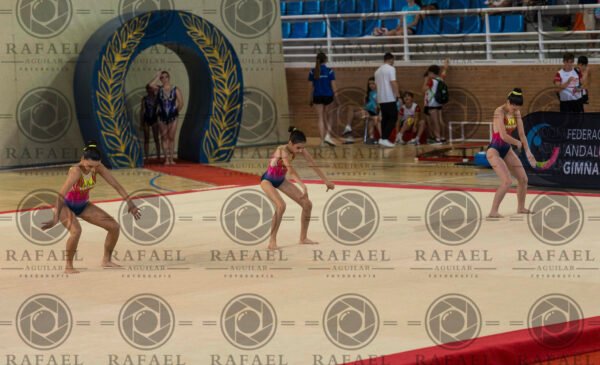 WG 9 - Imagen 10