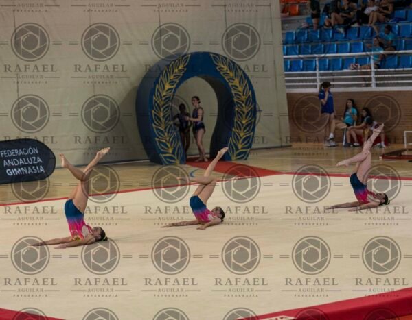 WG 9 - Imagen 12