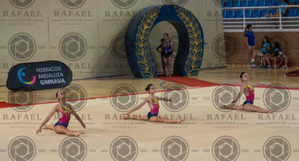 WG 9 - Imagen 14
