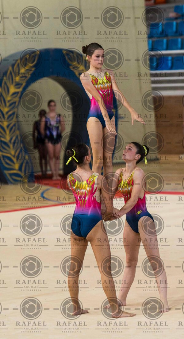 WG 9 - Imagen 16