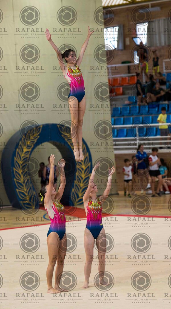 WG 9 - Imagen 17