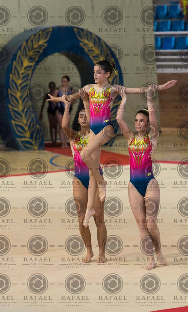 WG 9 - Imagen 18