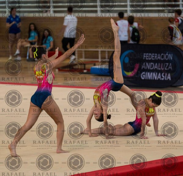 WG 9 - Imagen 20